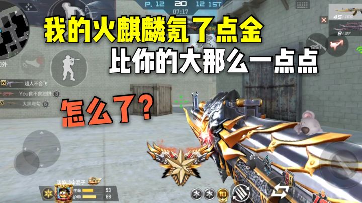 我的火麒麟氪了点金,比你的大一点点怎么了?截图