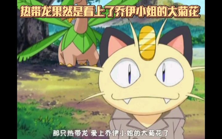 精灵宝可梦 热带龙果然是看上了乔伊小姐的大菊花截图