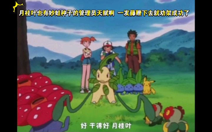 精灵宝可梦 月桂叶也有妙蛙种子的管理员天赋啊 一发藤鞭下去就劝架成功了截图
