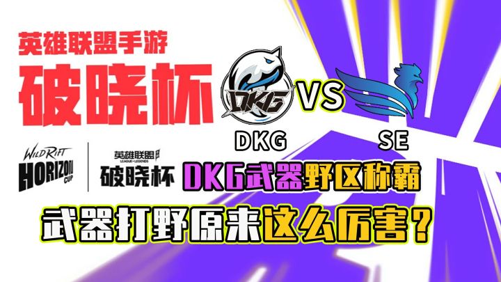 破晓杯,中国战队DKG武器野区称霸,打出了我们的风采截图