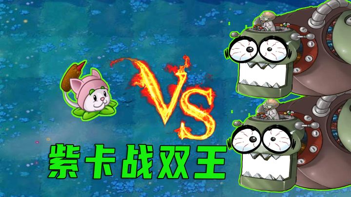 植物大战僵尸:紫卡随便用,两个僵王也没用截图