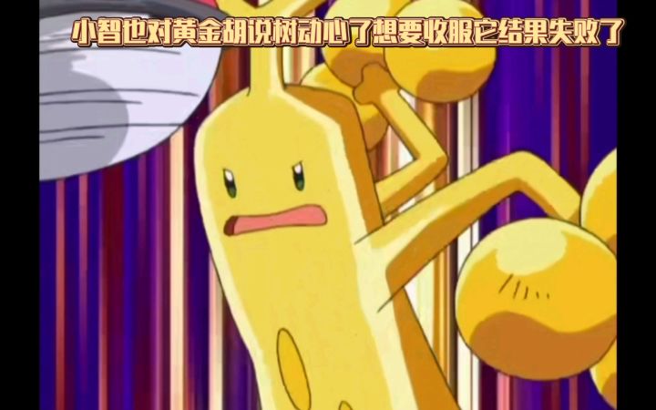 精灵宝可梦 小智也对黄金胡说树动心了想要收服它结果失败了截图