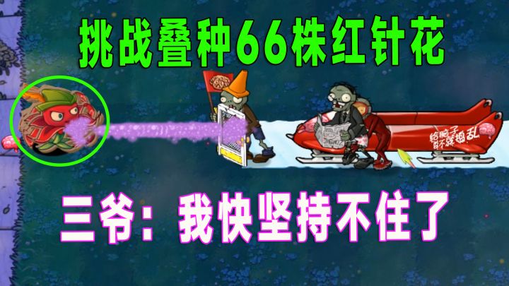 植物大战僵尸：挑战叠种66株红针花，这次三爷能抗住吗？截图
