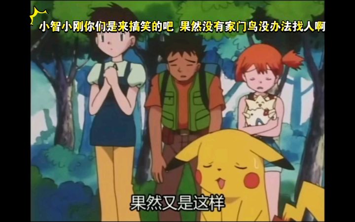 精灵宝可梦 小智小刚你们是来搞笑的吧 果然没有家门鸟没办法找人啊截图