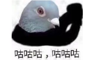 您仨甚至连一群鸽子都打不过.avi