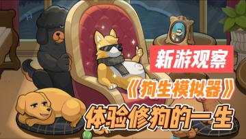 #新游观察局#《狗生模拟器》——文字类，模拟修狗的一生手游