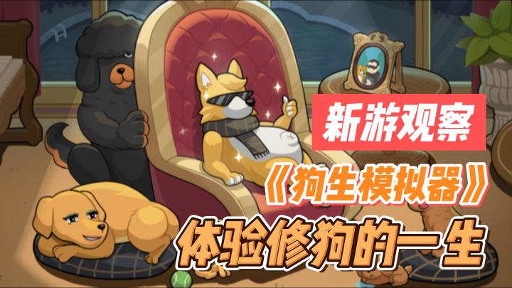 #新游观察局#《狗生模拟器》——文字类,模拟修狗的一生手游截图
