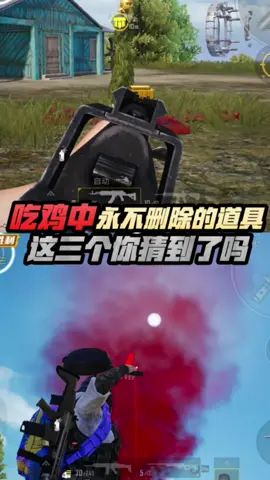 吃鸡中永不删除的道具，这三个你猜到了吗～ 一定要看到最后哦～截图