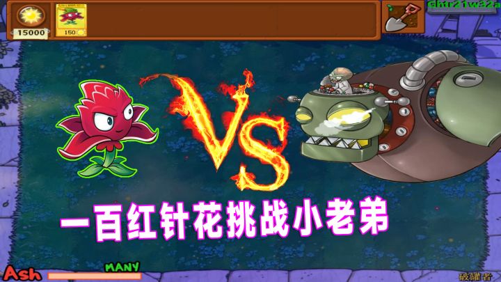 植物大战僵尸:一百红针花挑战小老弟,僵王当场就懵了截图