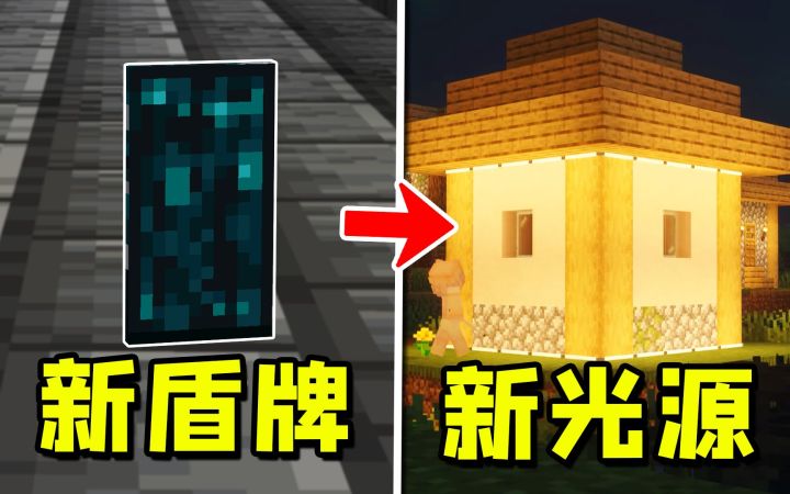 我的世界:五个应该被官方加入的新功能!截图