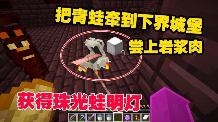 1.19联机36：把青蛙牵到下界城堡，尝上岩浆肉，获得珠光蛙明灯截图