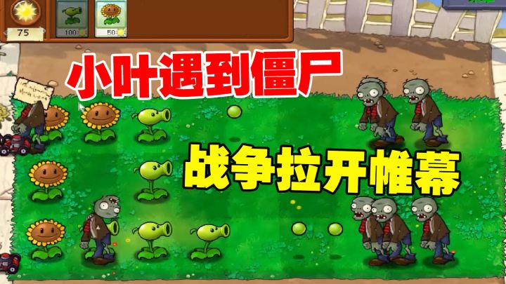 植物大战僵尸:小叶遇到僵尸,战争拉开帷幕,物尽其用连过两关截图