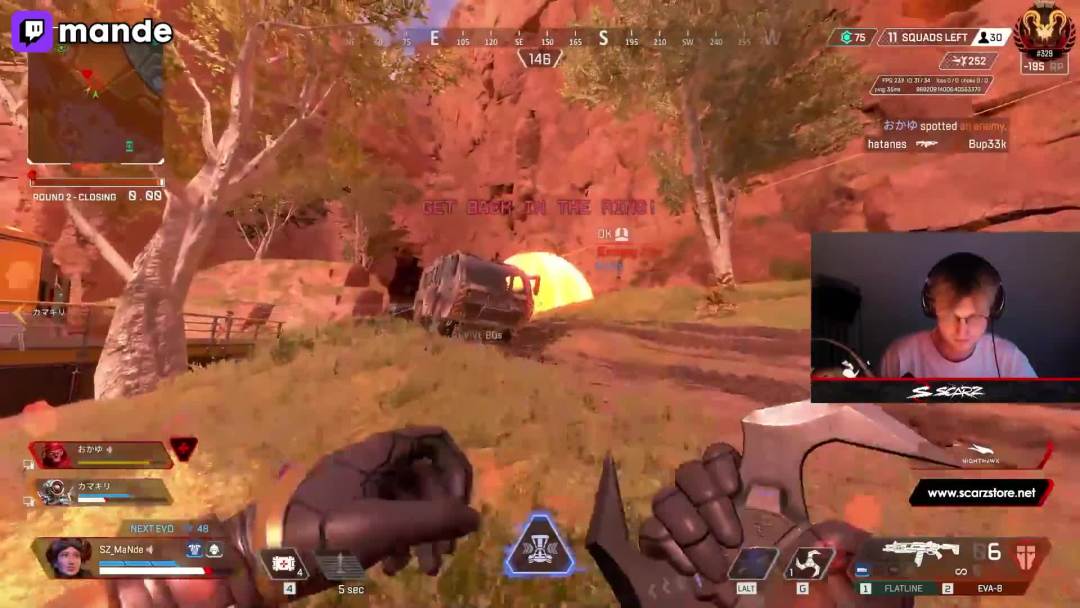 video-2981923
