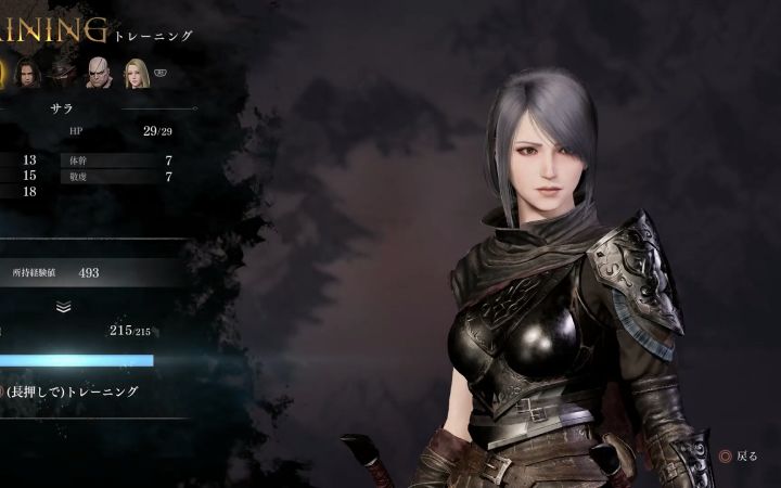 奇幻战棋类游戏《Redemption Reapers》预告截图