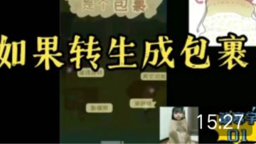 是我想象中那样的包裹吗（箫寒宇游玩01）