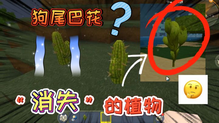 迷你世界:消失的植物!仙人掌的初始样子,没有几个玩家能认出来截图