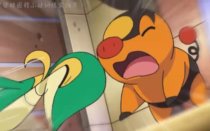 被抛弃的暖暖猪!为了保护同伴进化!截图