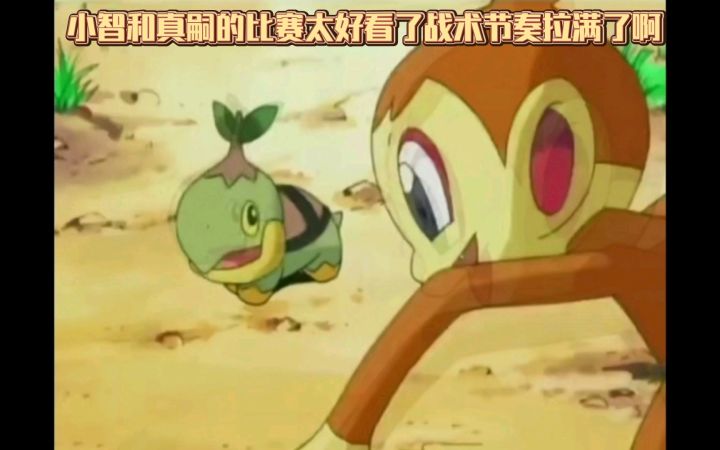 精灵宝可梦 小智和真嗣的比赛太好看了战术节奏拉满了啊截图