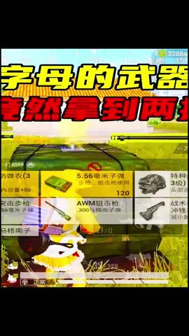 玉兔：挑战三个字母的武器吃鸡，没想到我竟然拿到两把最强神枪！#和平精英截图