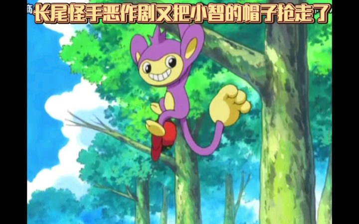 精灵宝可梦 长尾怪手恶作剧又把小智的帽子抢走了截图