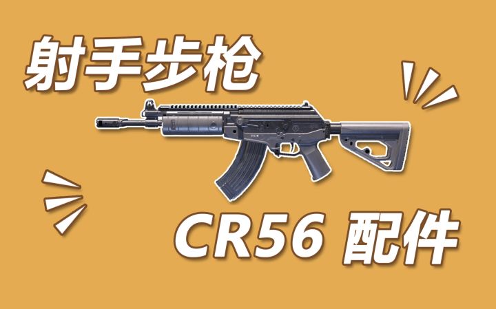 【使命召唤手游】射手步枪CR56数据分析 对不起 这波我选SKS截图