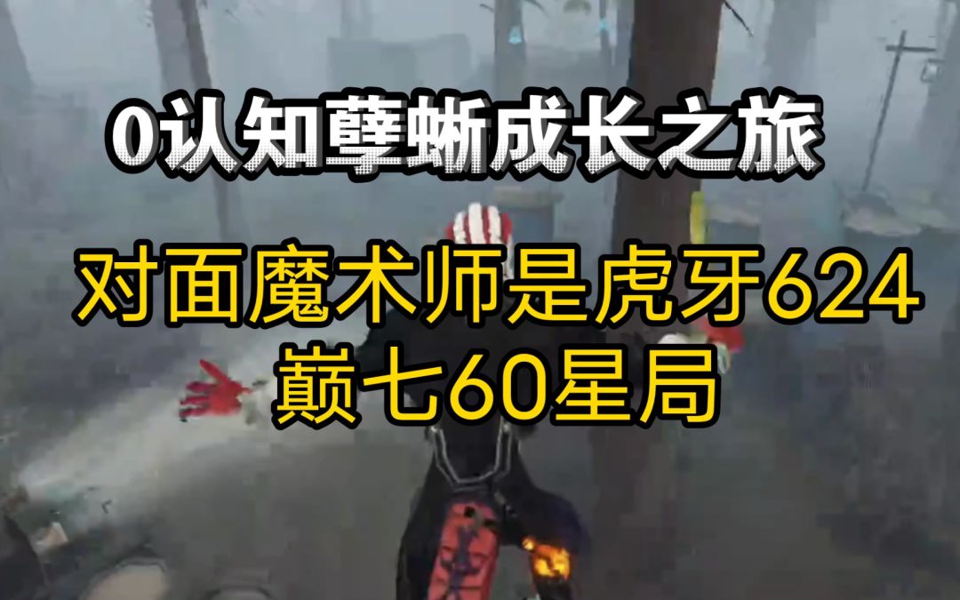 video-3111125