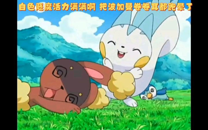 精灵宝可梦 白色恶魔活力满满啊 把波加曼卷卷耳都跑晕了截图