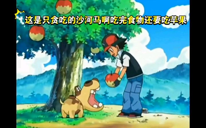 精灵宝可梦 这是只贪吃的沙河马啊吃完食物还要吃苹果截图