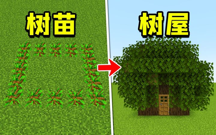 我的世界:教程不会教你的,6个隐藏特性!截图