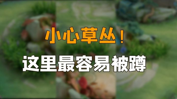 在王者荣耀的草丛里躲了2天2夜,我总结出了蹲人的规律截图