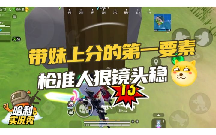 ［哈利实况秀］带妹上分第一要素，枪准人狠镜头稳截图