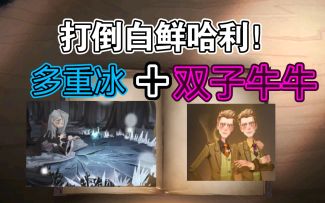 针对哈利白鲜麦格，我研发出多重冰+双子牛牛的缝合卡组！【哈利波特魔法觉醒】