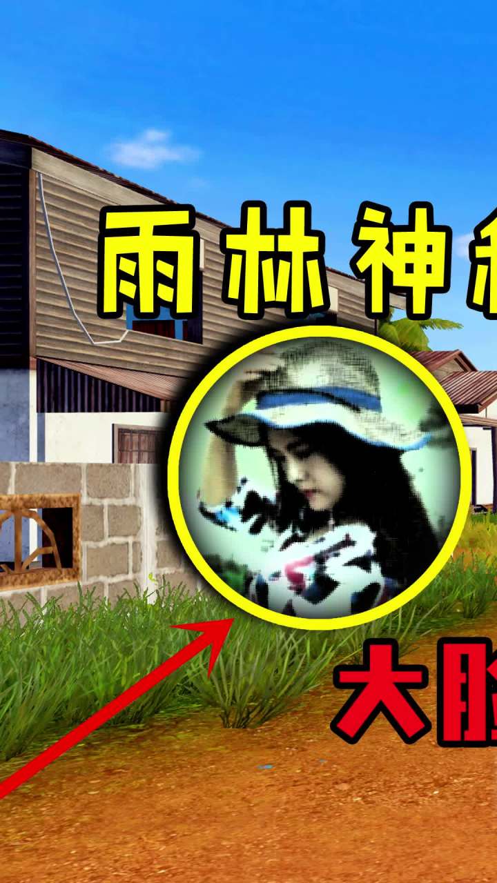 雨林照片背后故事,竟然是这样的?!(1)截图