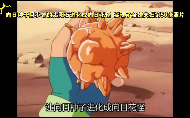 精灵宝可梦 向日种子用小智的太阳石进化成向日花怪 实现了金婚夫妇第50张照片截图