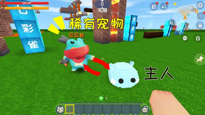 迷你世界：小表妹为了黑龙崽，抛弃了小泡沫，但有它才能领养宠物截图