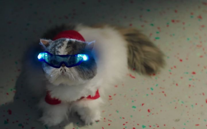 勇敢猫猫,拯救它的好朋友们截图