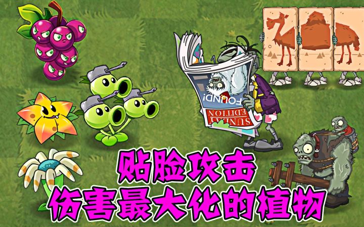 植物大战僵尸：贴脸攻击，伤害最大化的植物截图