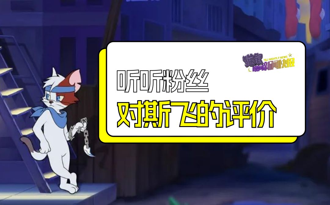 听听粉丝对斯飞的评价截图