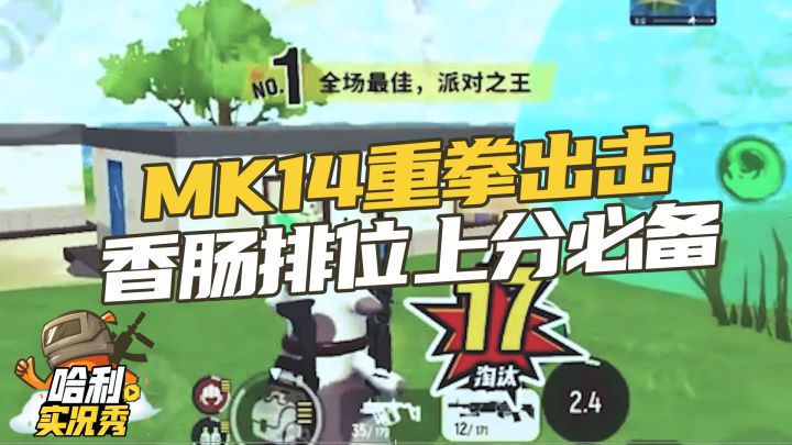【哈利实况秀】MK14重拳出击,香肠排位上分必备截图