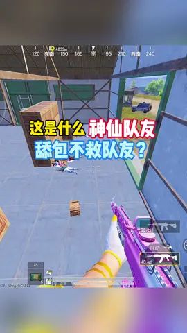 video-2131618