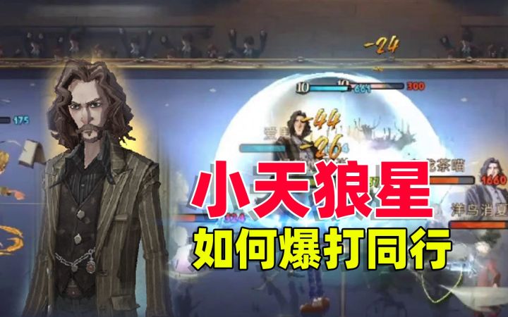 小天狼星回响暴打同行,只需要掌握一个技巧《哈利波特:魔法觉醒》截图