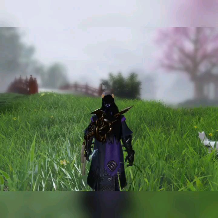 video-1565723