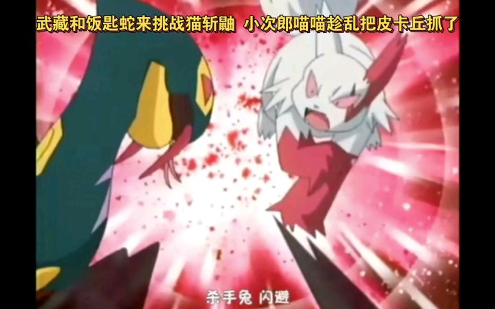 精灵宝可梦 武藏和饭匙蛇来挑战猫斩鼬 小次郎喵喵趁机把皮卡丘抓了截图