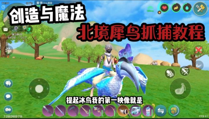 【创造与魔法】北境犀鸟抓捕教程 嘎嘎详细!截图