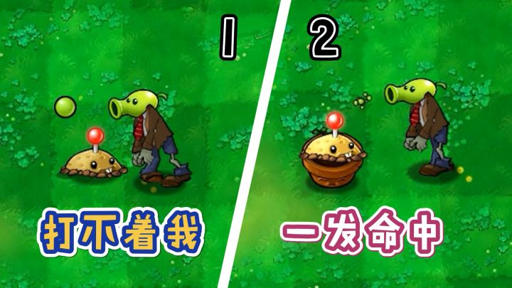 植物大战僵尸：植物家族谁最坑？花盆：反正不是我！截图
