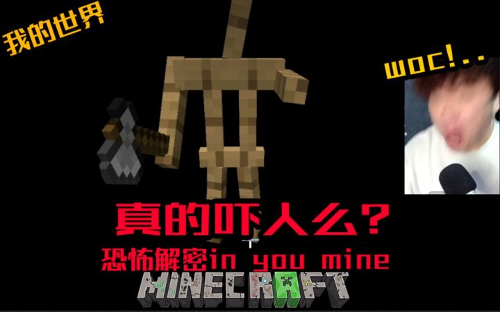 真的吓人么?我的世界恐怖解密Ep1截图