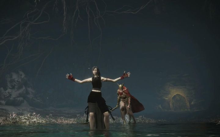 蒂法在女武神面前蹦迪 水鸟乱舞为她助兴截图