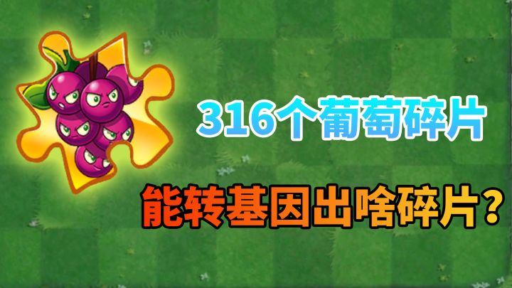 植物大战僵尸:316个爆裂葡萄碎片,转基因能出啥货?截图