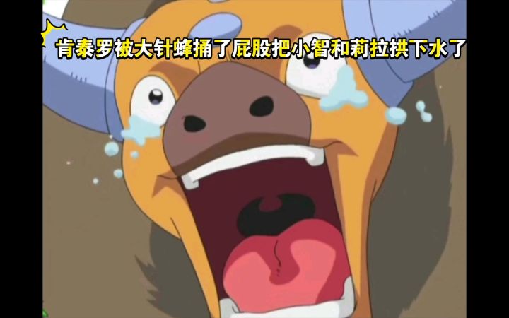 精灵宝可梦 肯泰罗被大针蜂捅了屁股把小智和莉拉拱下水了截图