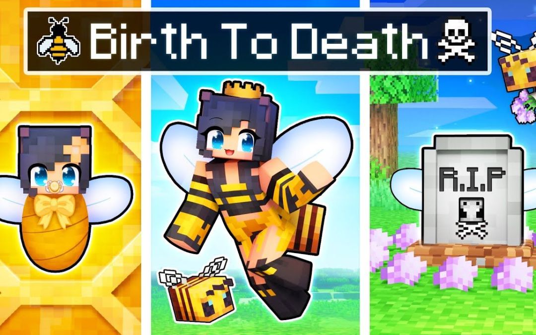 【Aphmau】我的世界|小蜜蜂的一生The BIRTH to DEATH of a Minecraft Bee!截图